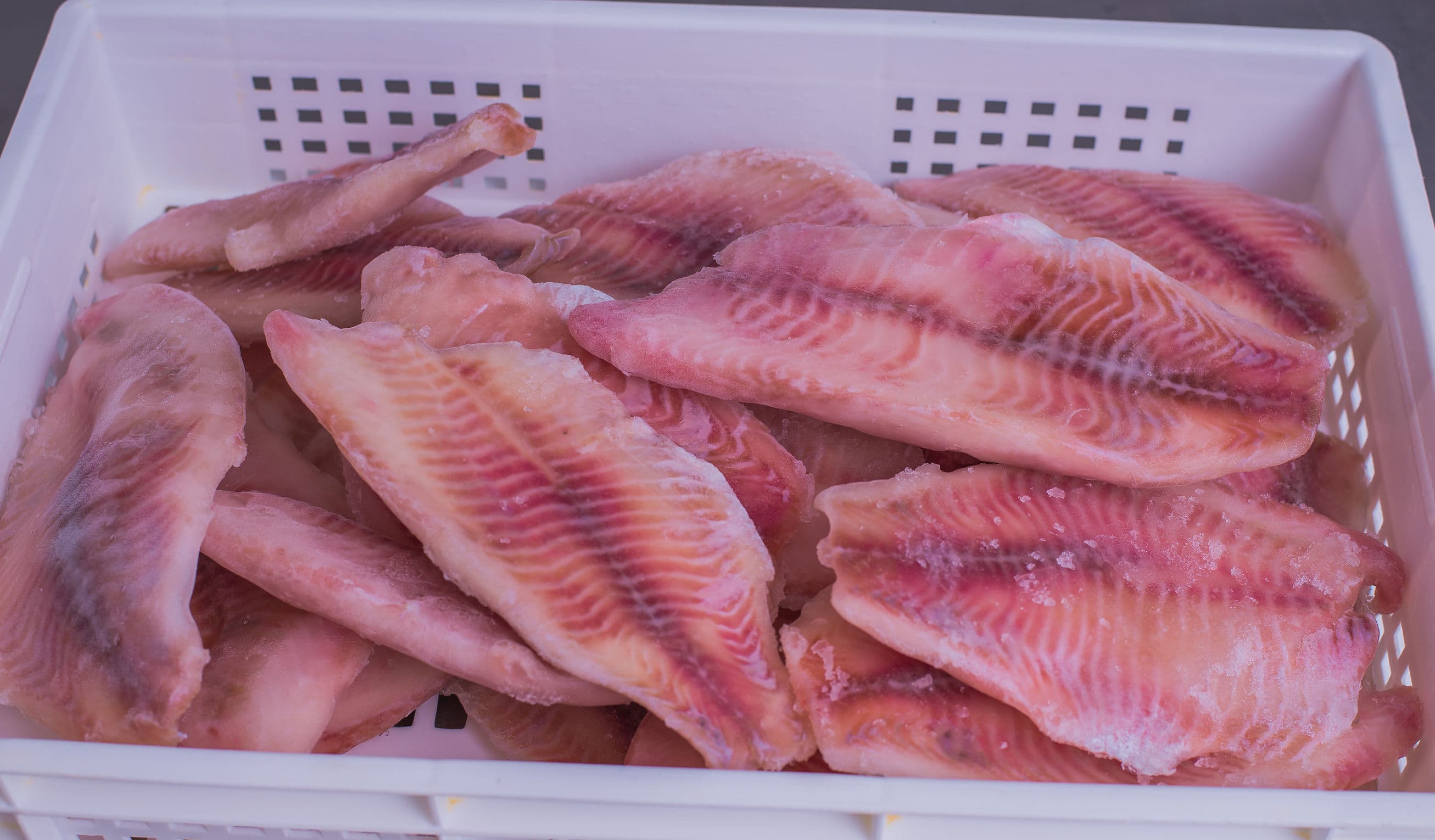 Fish Fillet