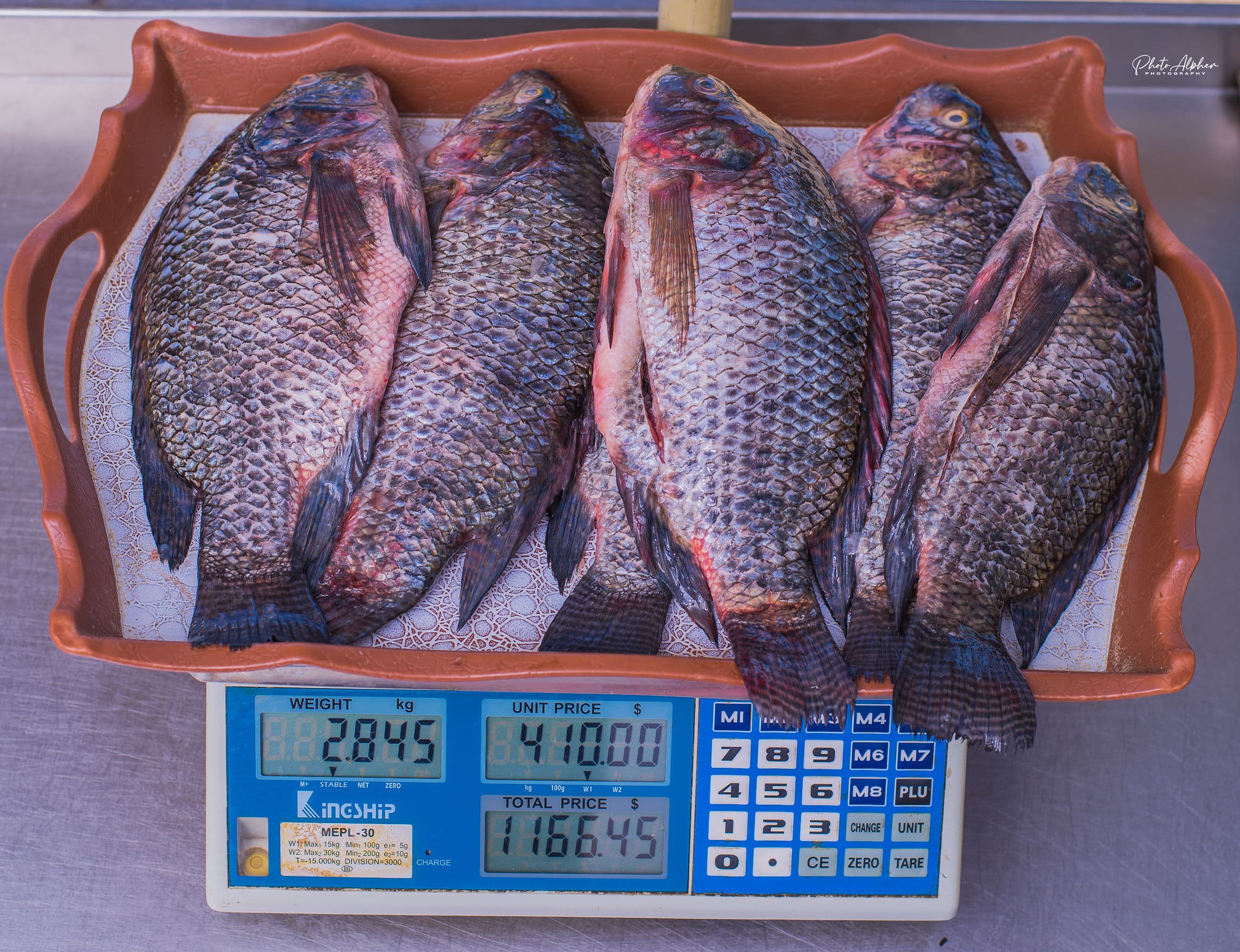 Fresh Whole Fish